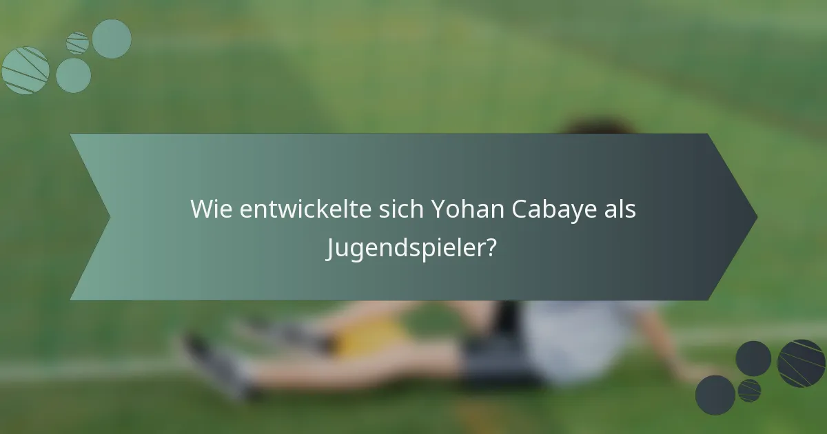 Wie entwickelte sich Yohan Cabaye als Jugendspieler?
