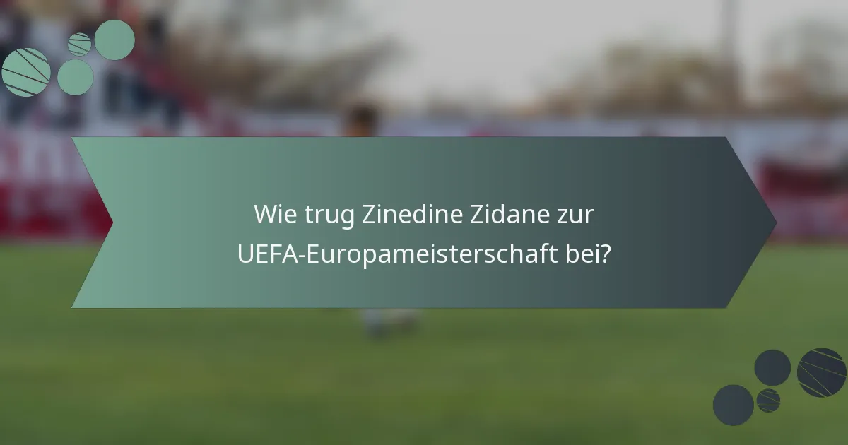 Wie trug Zinedine Zidane zur UEFA-Europameisterschaft bei?