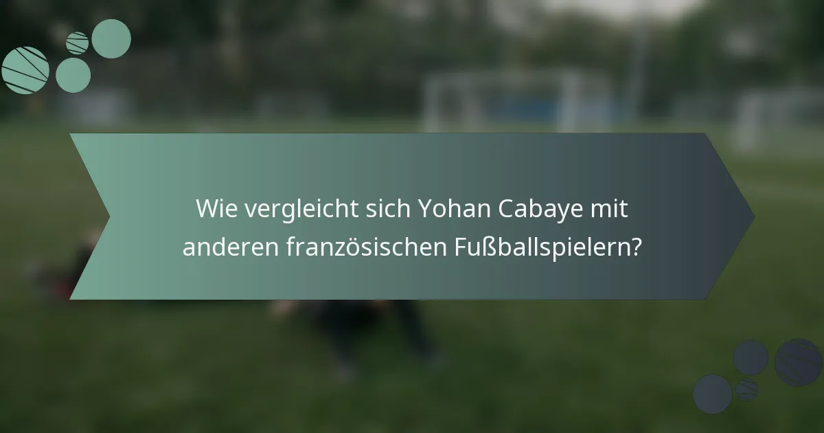 Wie vergleicht sich Yohan Cabaye mit anderen französischen Fußballspielern?